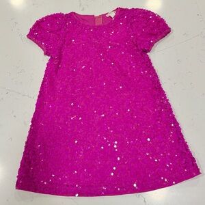 JCrew Sparkling Dress